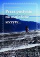 Przez pustynie na onieone szczyty, Wojciech Lewandowski