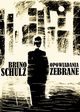 Opowiadania zebrane, Bruno Schulz