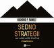 Sedno strategii, Richard P. Rumelt