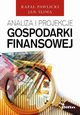 Analiza i projekcje gospodarki finansowej, Jan liwa, Rafa Pawlicki