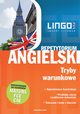 Angielski. Tryby warunkowe, Anna Treger