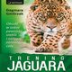 Trening Jaguara. Obud w sobie pewno siebie i osigaj zamierzone cele, Dagmara Gmitrzak