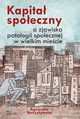 Kapita spoeczny a zjawiska patologii spoecznej w wielkim miecie, Agnieszka Barczykowska