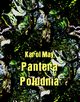 Pantera Poudnia, Karol May