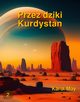 Przez dziki Kurdystan, Karol May