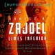 Limes inferior. Superprodukcja, Janusz A. Zajdel