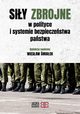 Siy zbrojne w polityce i systemie bezpieczestwa pastwa, Wiesaw miaek