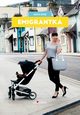 Emigrantka, Agata Bizuk