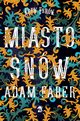 Miasto snw, Adam Faber