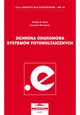 Ochrona odgromowa systemw fotowoltaicznych. Seria: Zeszyty dla elektrykw - nr 10, Andrzej W. Sowa, Krzysztof Wincencik