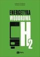 Energetyka wodorowa, Tadeusz Chmielniak, Tomasz Chmielniak