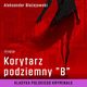 Korytarz podziemny ?B?, Aleksander Baejowski