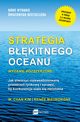 Strategia bkitnego oceanu. Wydanie rozszerzone, W. Chan Kim, Kim W. Chan, Rene Mauborgne