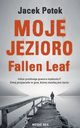 Moje Jezioro Fallen Leaf, Jacek Potok