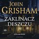 ZAKLINACZ DESZCZU, John Grisham