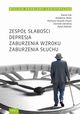 Wielkie Problemy Geriatryczne, t. 3. Zesp saboci. Depresja. Zaburzenia wzroku. Zaburzenia suchu, Marek ak, Waldemar Brola, Martyna Guszek-Osuch, Dominik Odrobina, Rafa Zieliski