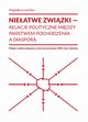 Nieatwe zwizki relacje polityczne midzy pastwem pochodzenia a diaspor, Magdalena Lesiska