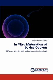 In Vitro Maturation of Bovine Oocytes, Paul Kakkassery Magnus