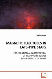 ksiazka tytu: MAGNETIC FLUX TUBES IN LATE-TYPE STARS  PROPAGATION AND GENERATION OF TRANSVERSE WAVES IN MAGNETIC FLUX TUBES autor: Ahmed Towfiq