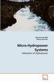 Micro-Hydropower Systems, Abid Muhammad